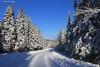  Early winter wonderland along Old Highway 61 by Travis Novitsky